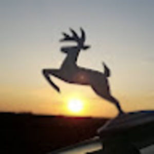 Meet your Posher, Angela